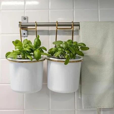 Antica Legnaia - All'aperto In Centro Storico