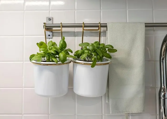 Antica Legnaia - All'aperto In Centro Storico